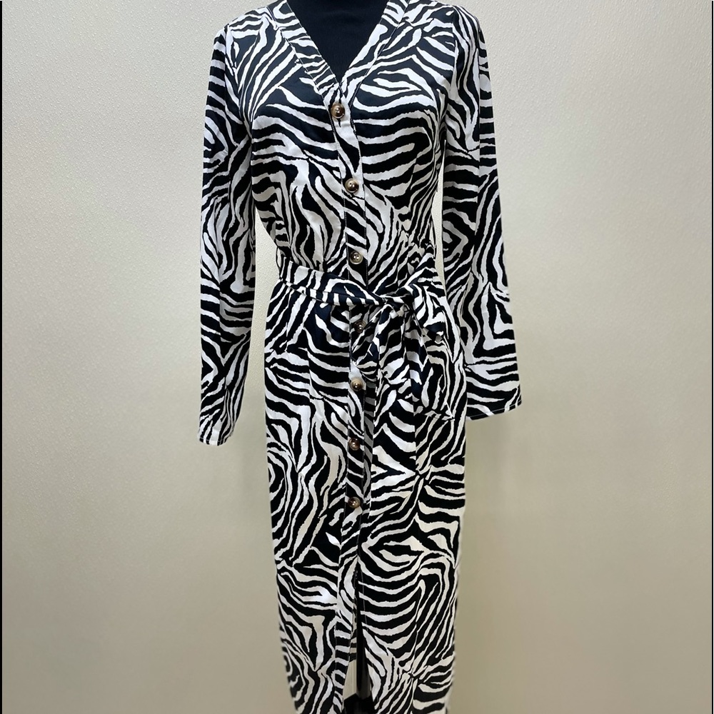 Zebra Satin Dress